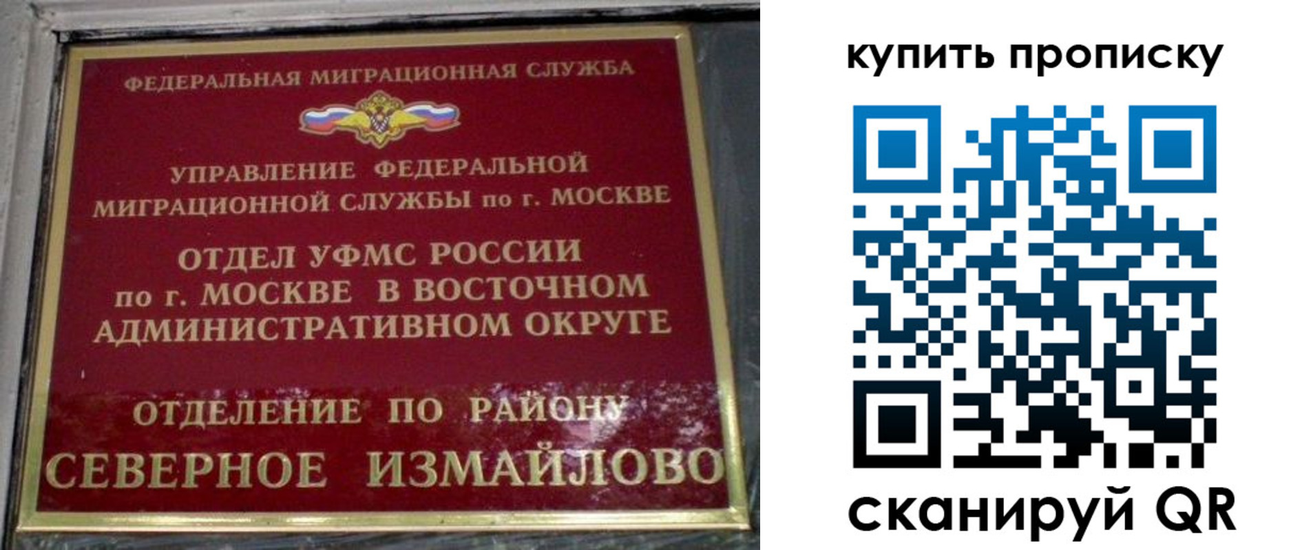 прописка в квартире в Мордовии